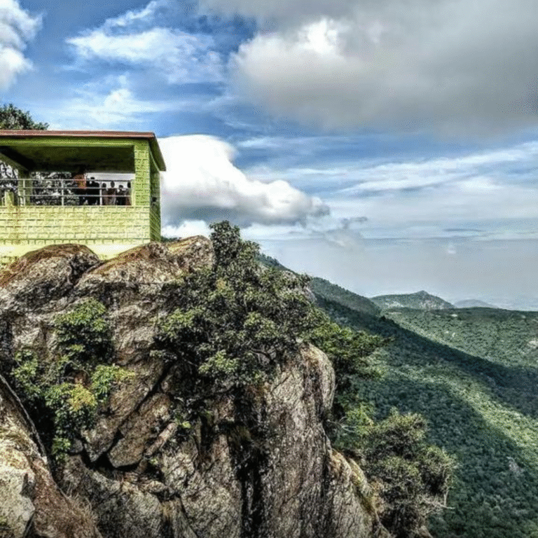 Karadiyoor View Point