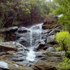 How a Reliable Taxi Service Enhances Your Entire Travel Experience